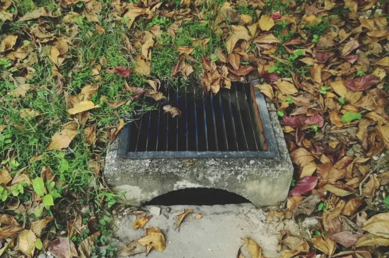 Why You Might Need Drain Tracing on Your Property