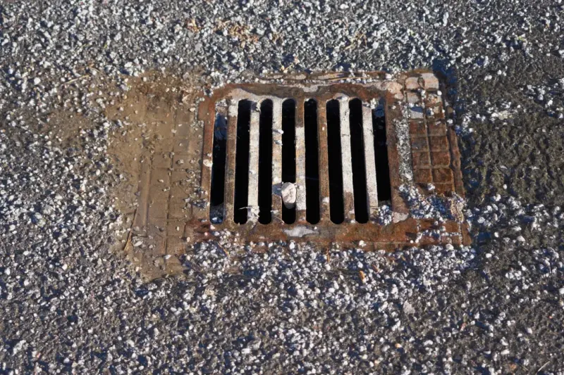 How Blocked Drains Can Affect Your Business