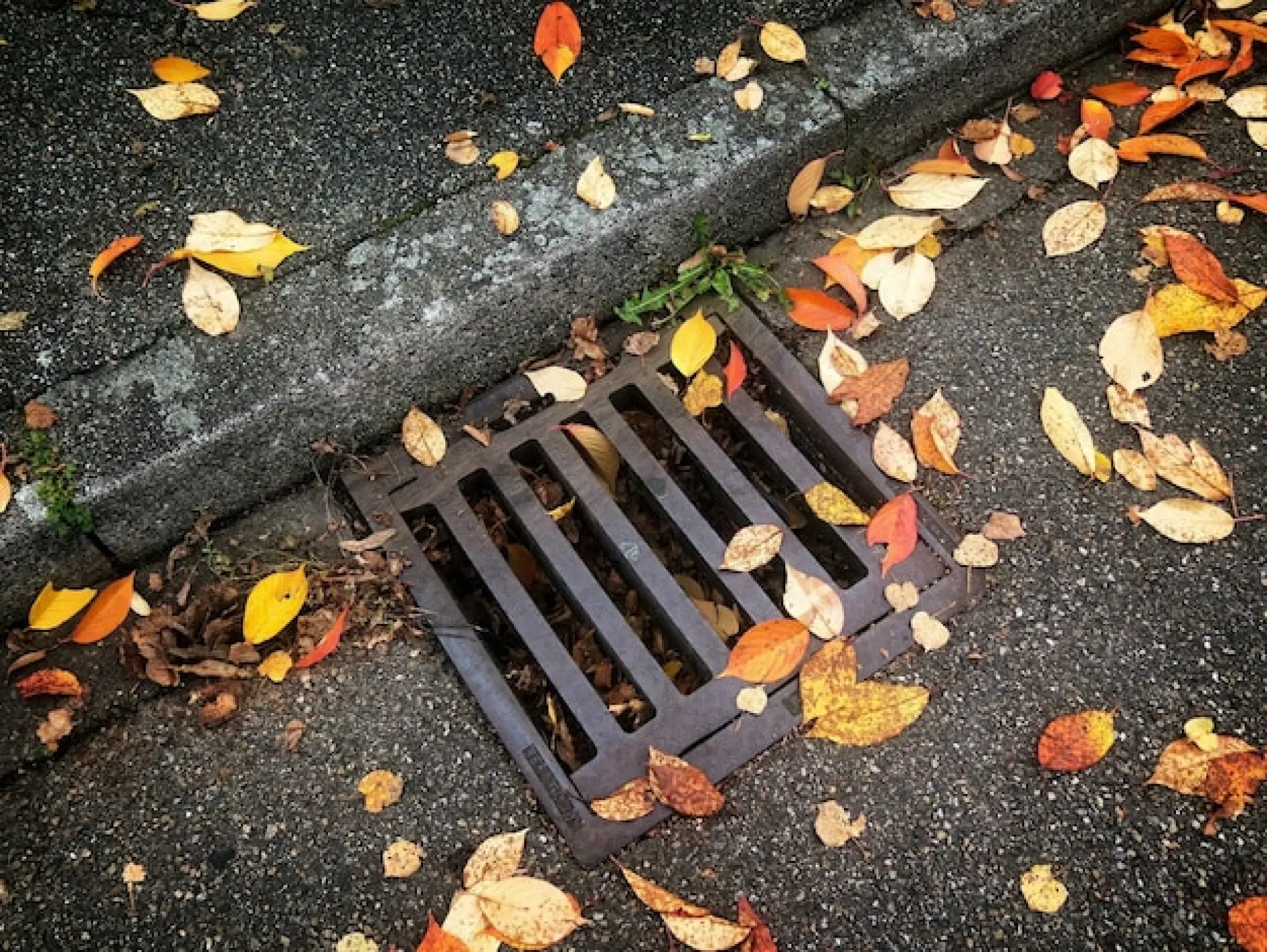 Soap Scum and Residue - Common Causes of Blocked Drains 