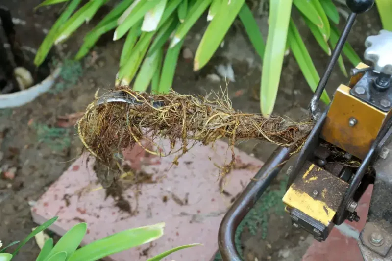 Common Issues Detected During a CCTV Drain Survey